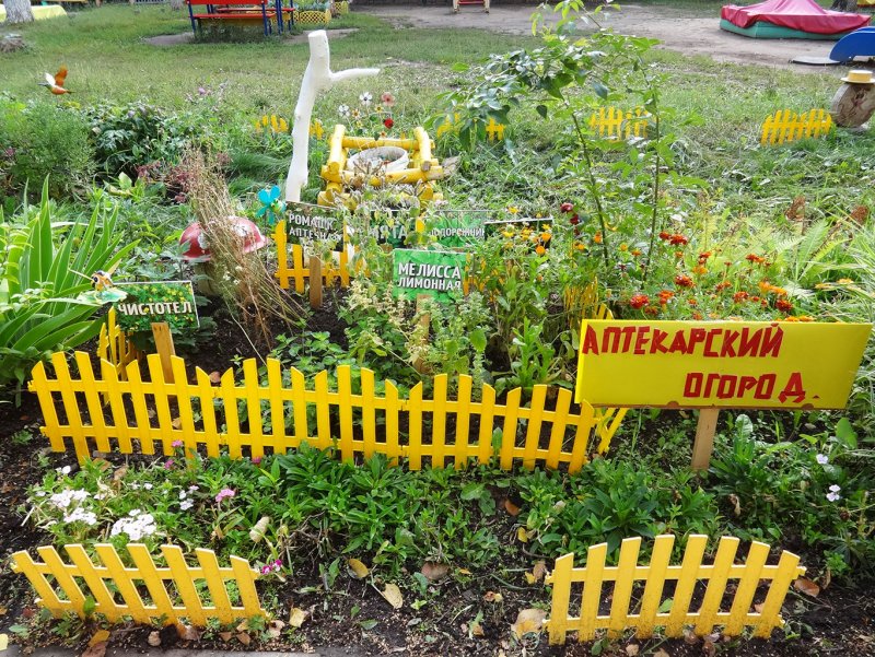 Огород в ДОУ на территории