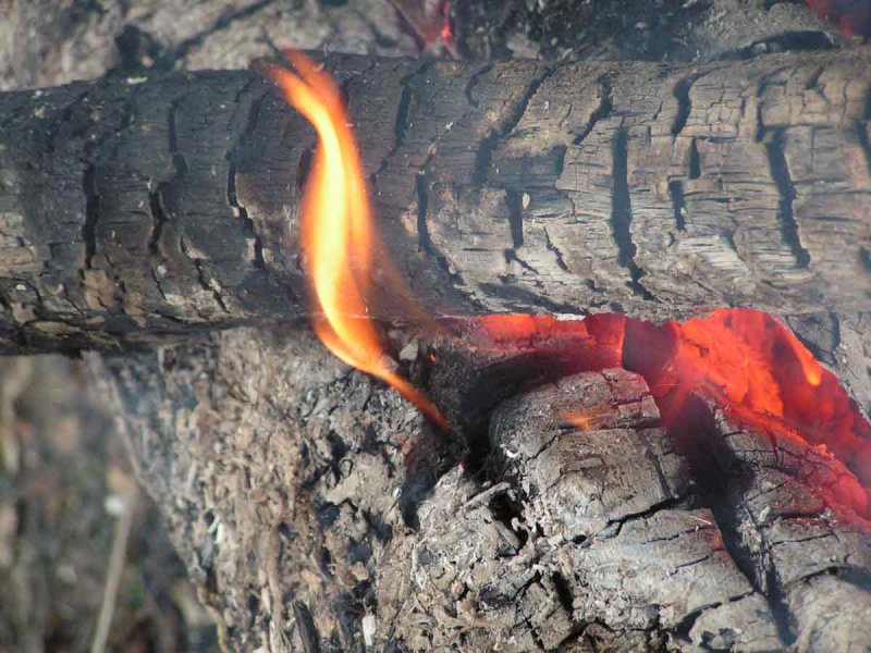Угли от костра