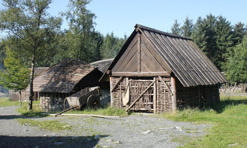 Лачуга викинга