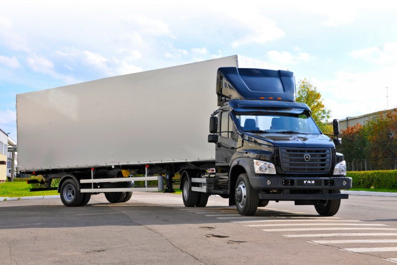 Газон Некст r47c13