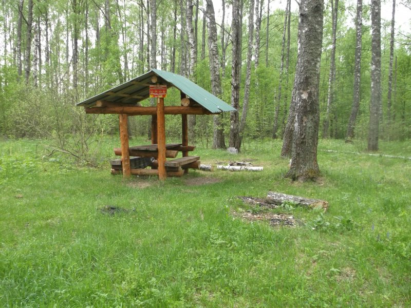 Места отдыха в лесу беседки
