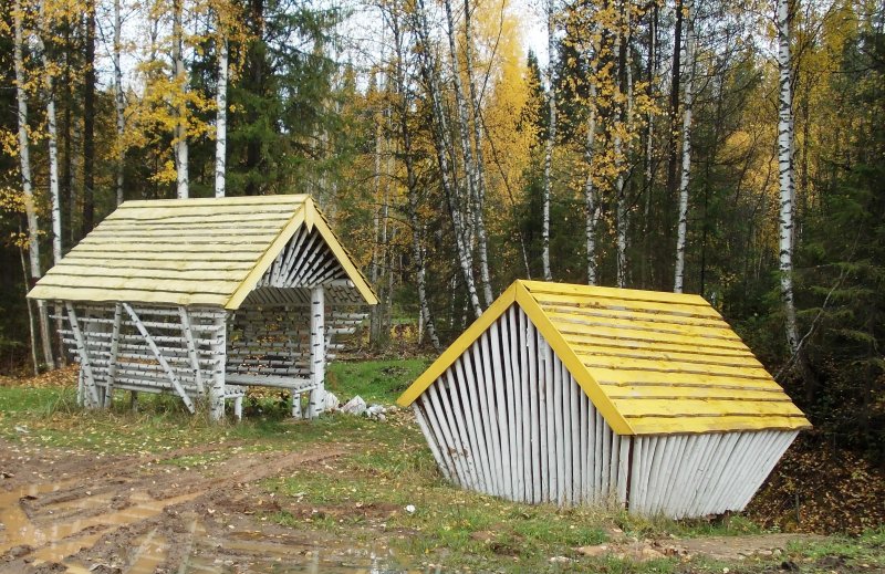 Места отдыха в лесах