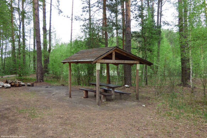 Сахаровская Орловское Полесье беседка