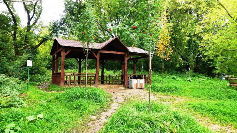 Алешкинский парк Тушино