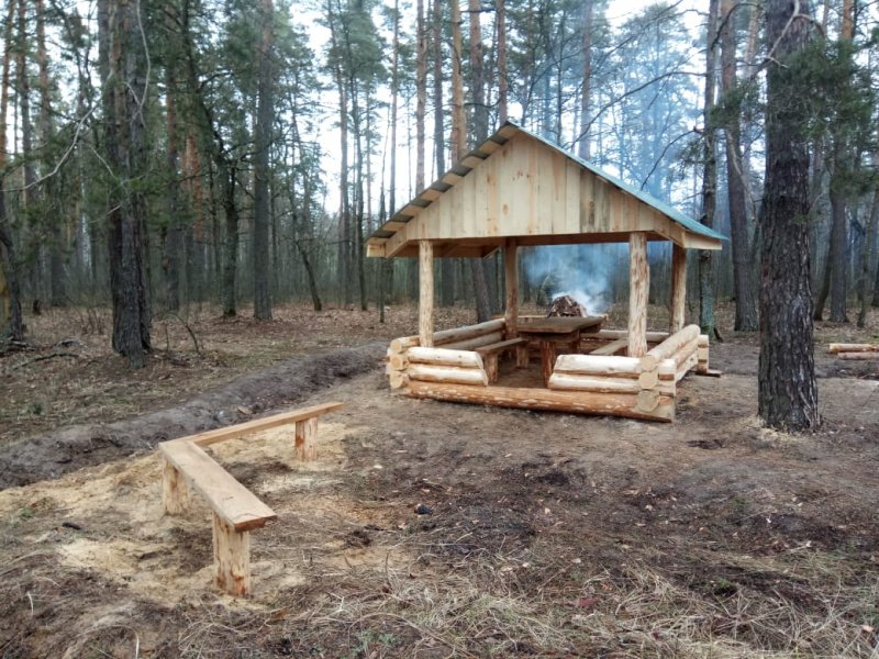 Место отдыха в Лесном хозяйстве