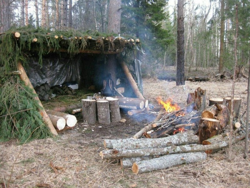 Лесной лагерь бушкрафт
