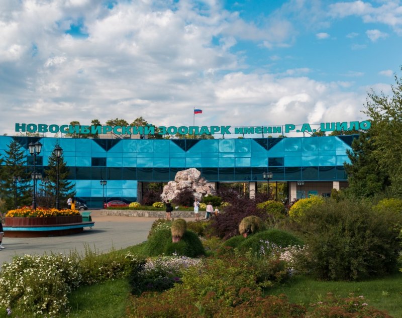 Зоопарк Новосибирск официальный сайт