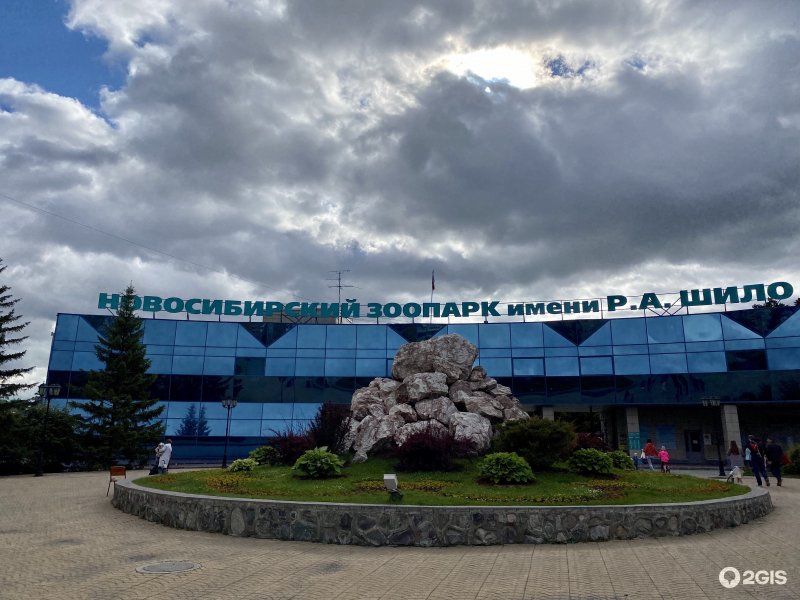 Новосибирский зоопарк 2020