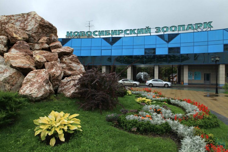 Зоопарк Новосибирск территория (41 фото)