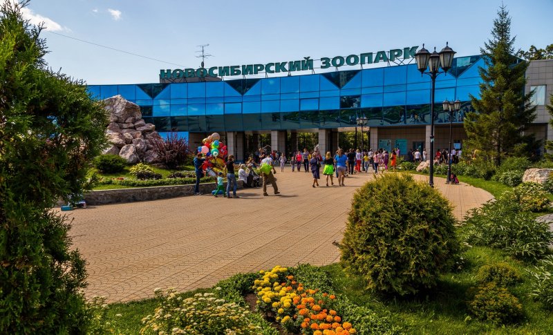 Достопримечательности Новосибирска зоопарк