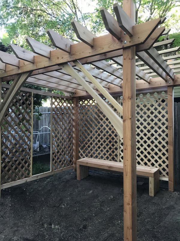 Pergolas виноград