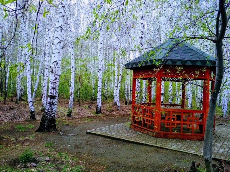 Беседки Березовая роща Новосибирск