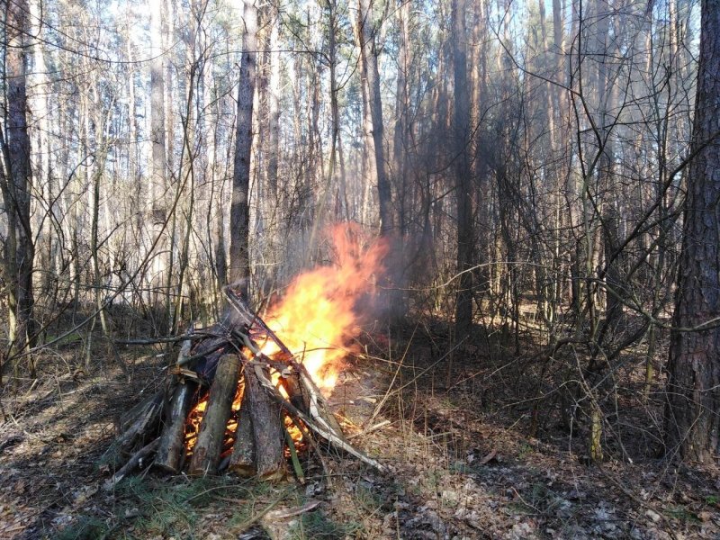 Жгут костер в лесу