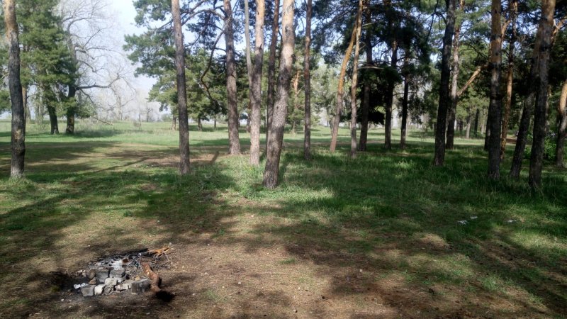 Подсосенки Сосновый Бор