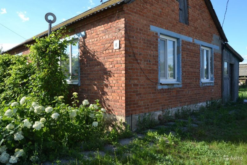 Балаковский район поселок Николаевский