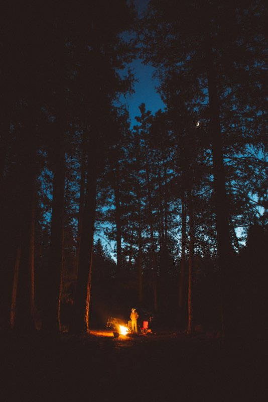 Костёр в лесу ночью