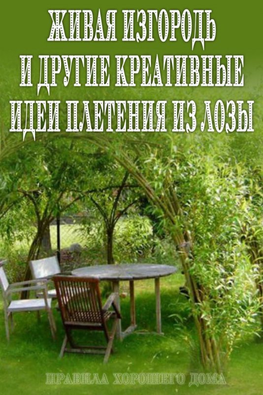 Живая беседка Ива