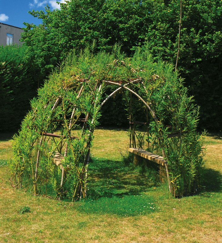 Беседка из живых деревьев (45 фото)