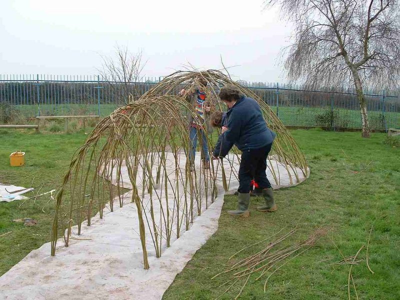 Парник из ивовых прутьев