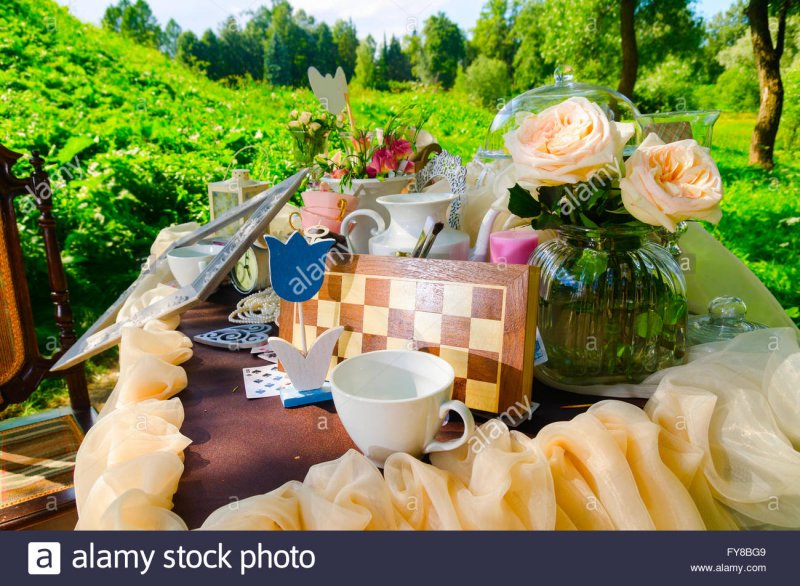 Чаепитие в парке