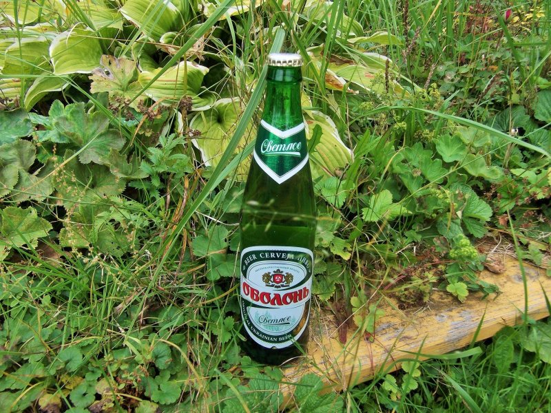 Пивная Дачная