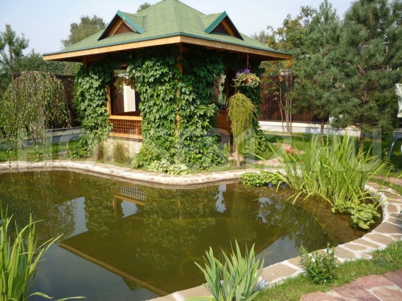 Искусственный водоем на участке