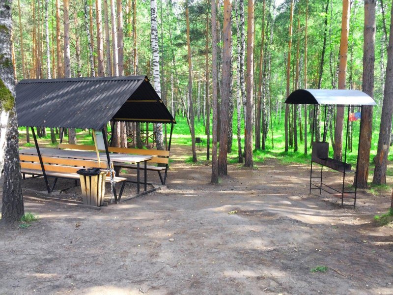 Тропарёвский парк пикниковая зона
