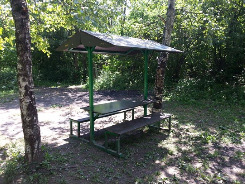 Парк Царицыно пикниковая зона
