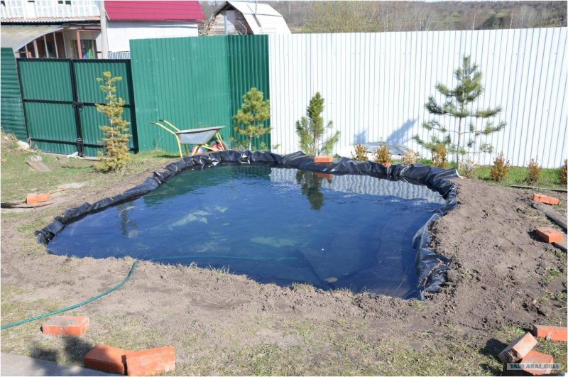 Пруд с карасями на участке