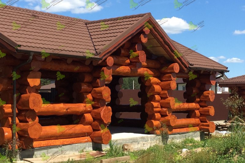 Беседки из бревна кедра