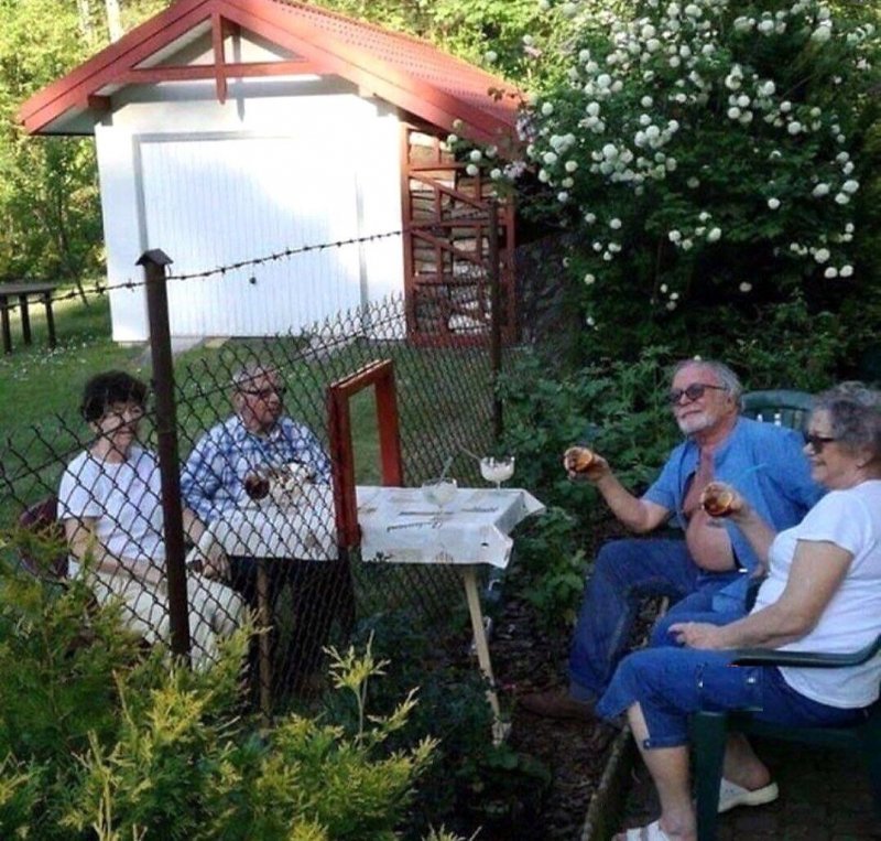 Приехали на дачу