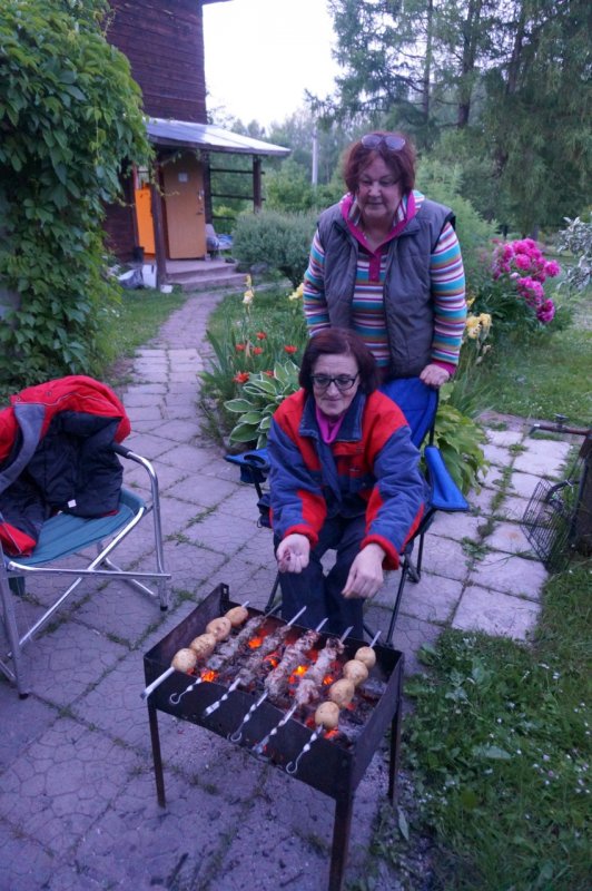Шашлыки на даче