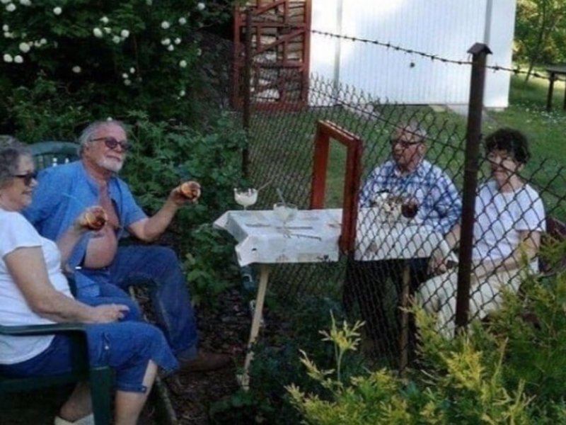 Дачные соседи
