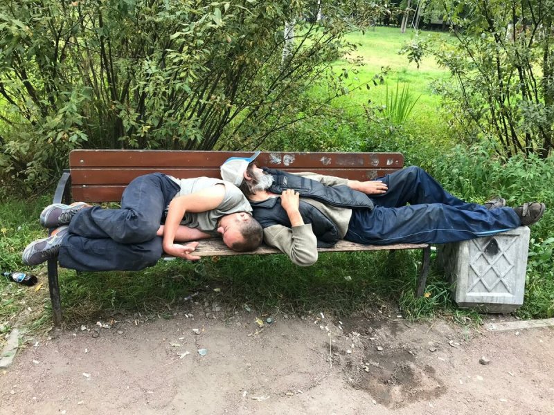 Пикник на природе частное