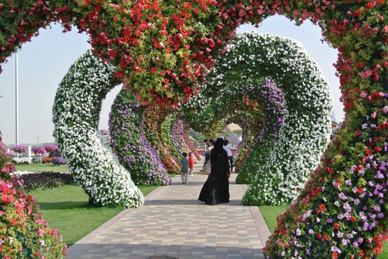 Dubai Miracle Garden амфитеатр