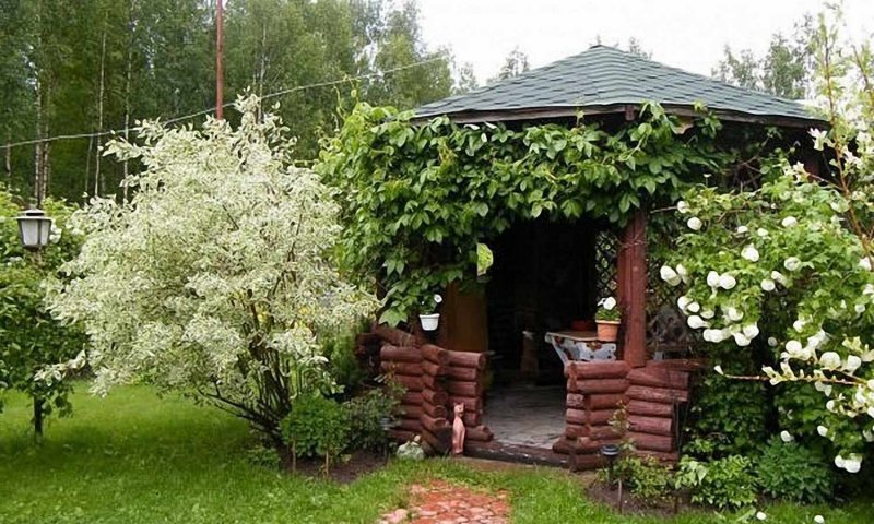 Озеленение беседки