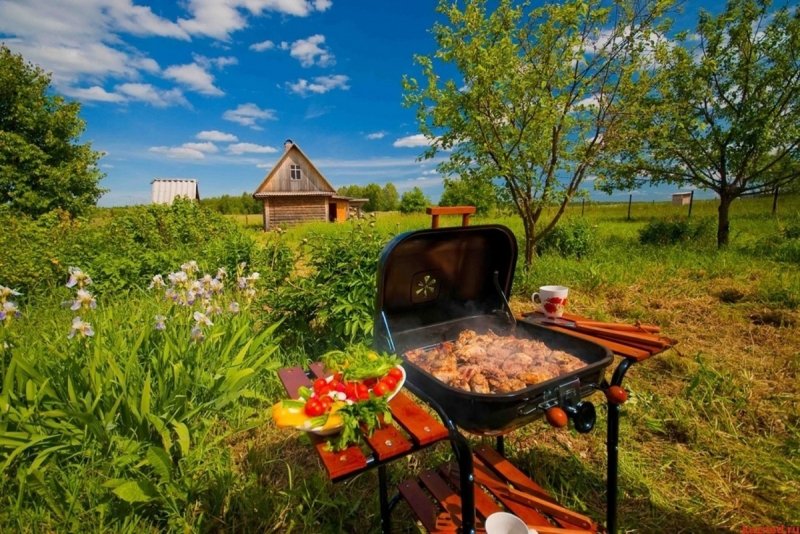 Мангал на природе