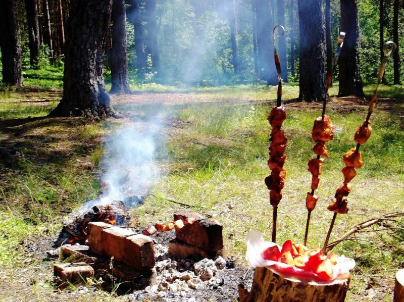 Шашлыки на природе
