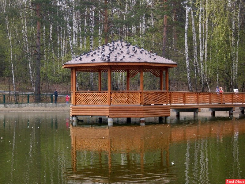 Озеро грез Новосибирск беседки
