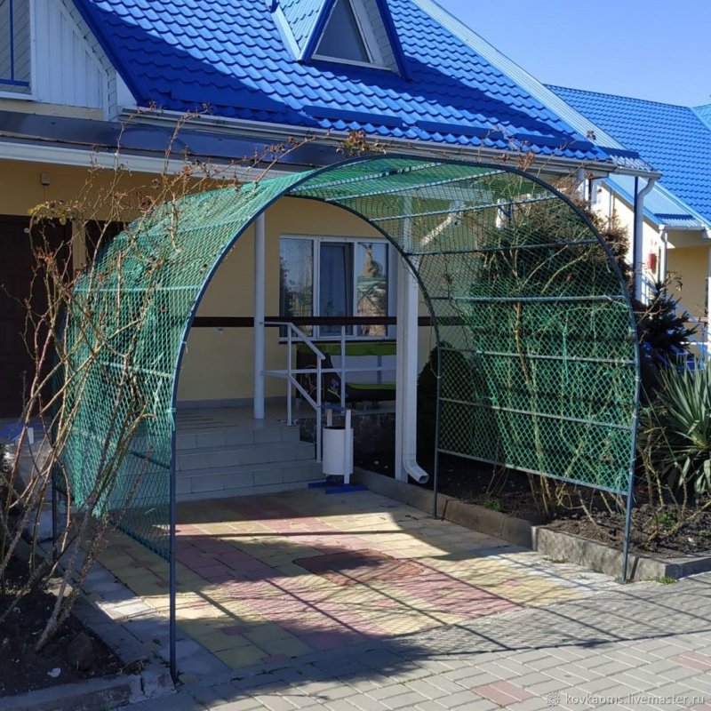 Амарант арки для сада