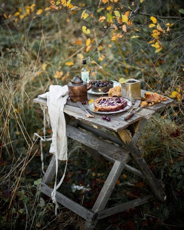 Пикник в лесу