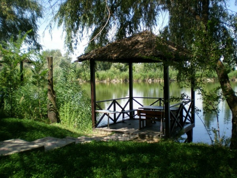 Кафе Хижина дяди Тома