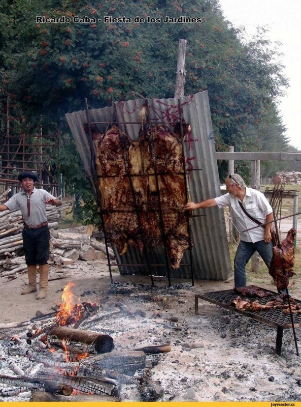 Приколы про шашлыки на природе