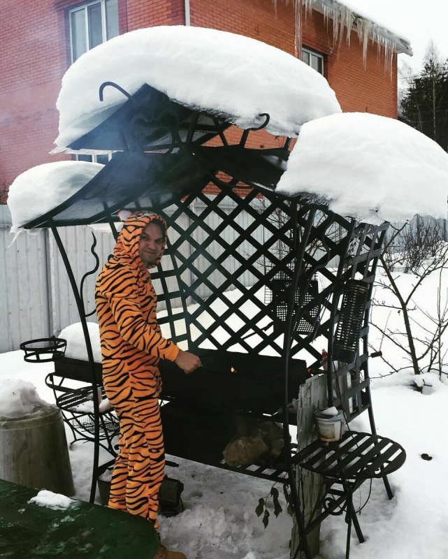 Смешные барбекю