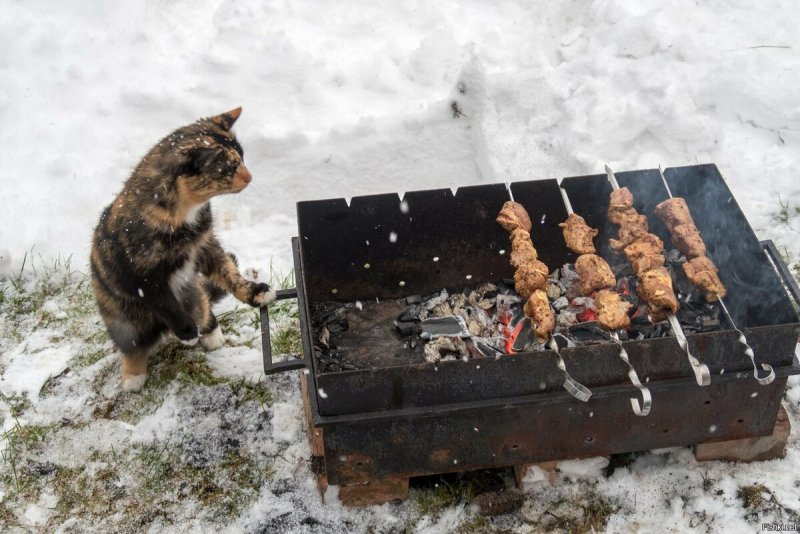 Мангалы скелеты из металла