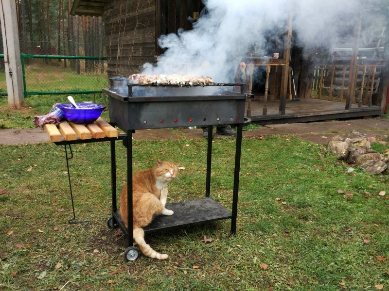 Мангал юмор