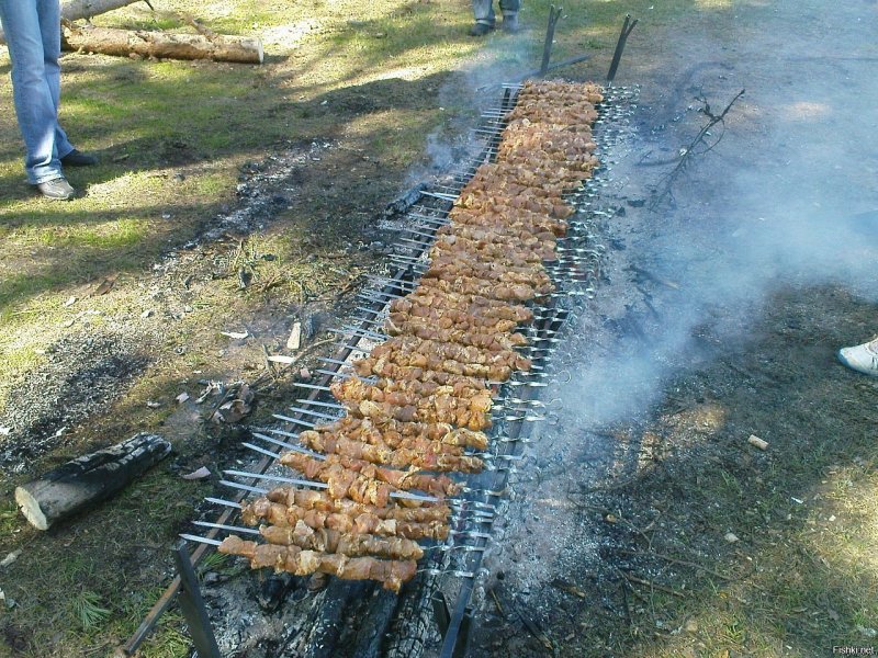 Приколы про шашлыки на природе