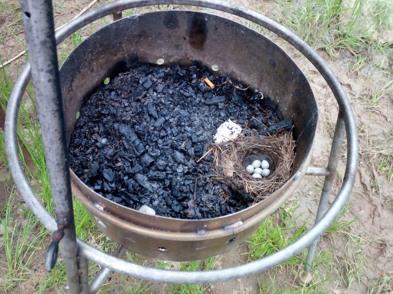 Мангал из газового бочка