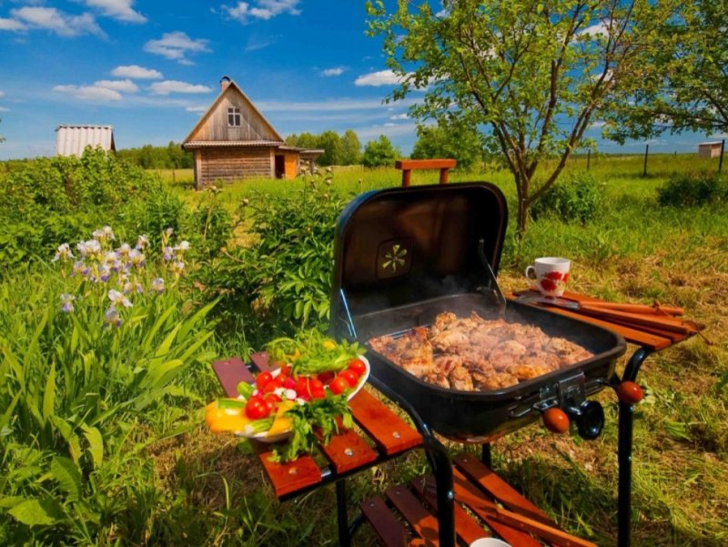 Семья на шашлыках