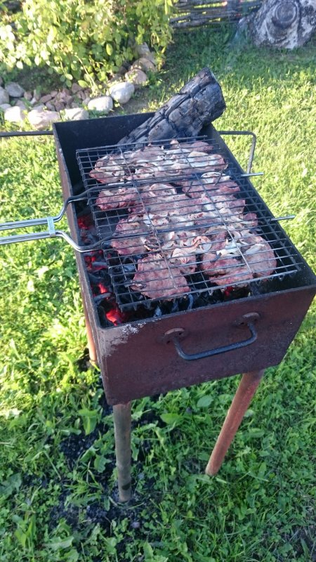 Мангал для шашлыка драйв
